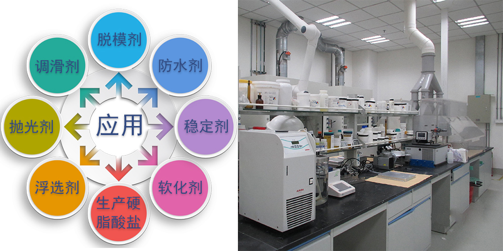 硬脂酸 STEARIC ACID 1801 马来西亚大自然